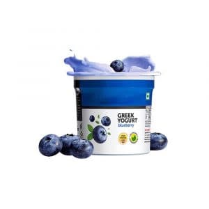 Blueberry Greek Yogurt